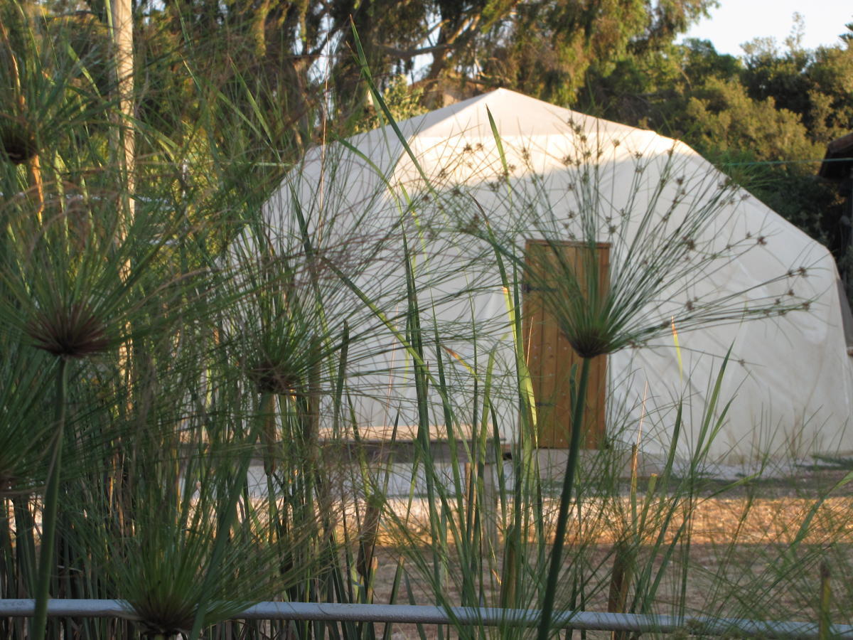 Ilaniya Yarok Az - Ecolodge Farm الغرفة الصورة