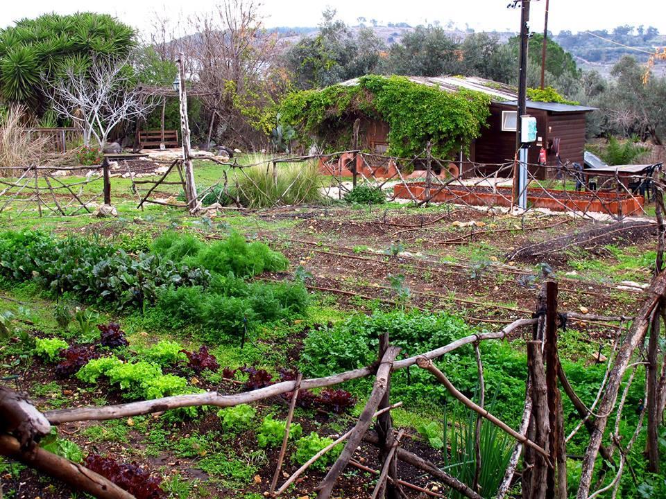 Ilaniya Yarok Az - Ecolodge Farm المظهر الخارجي الصورة